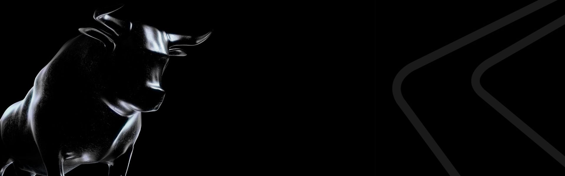 250923_Krause_Platzhalterbilder_1920x580px_Header_Stier Stier mit Hintergrund